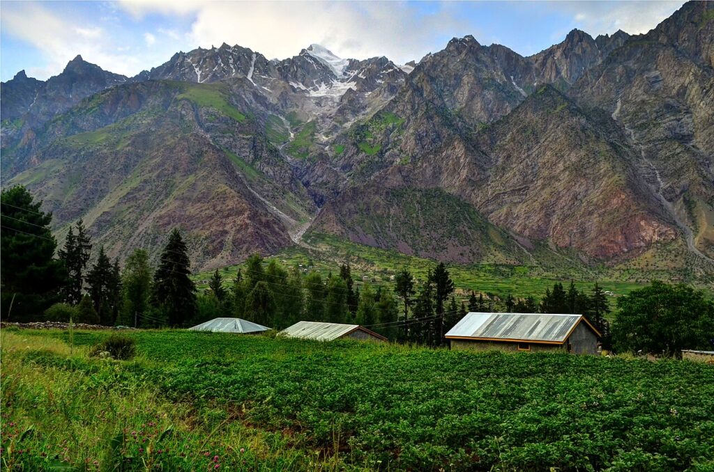 Naltar Valley in Gilgit Baltistan –Must see places to visit for nature lovers