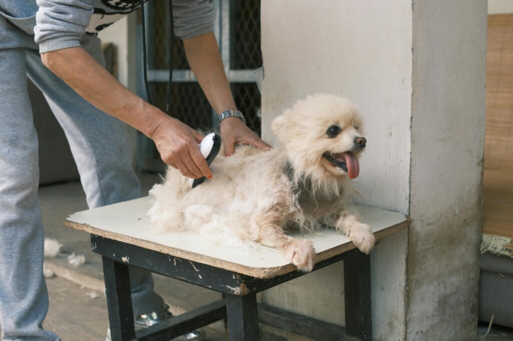 Deshedding Tool for Dogs