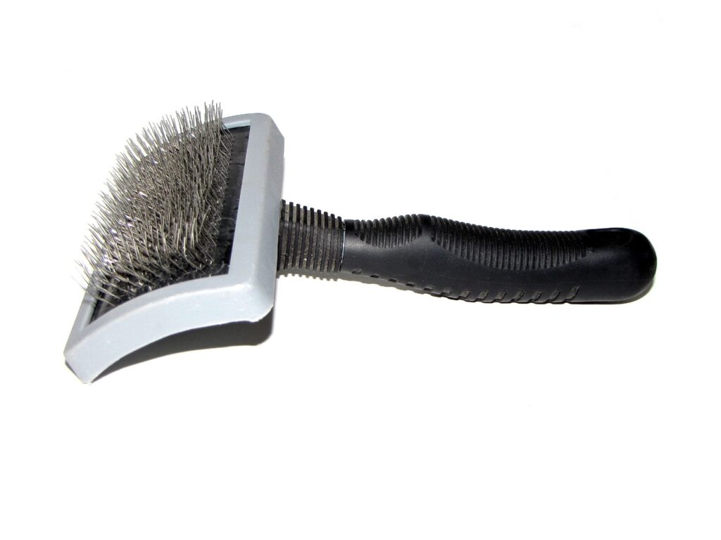 Best Dog Grooming Tools for Home – Top 10 Favourites