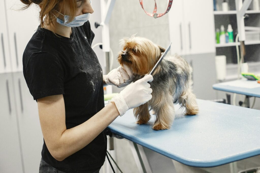 Dog Grooming Gloves