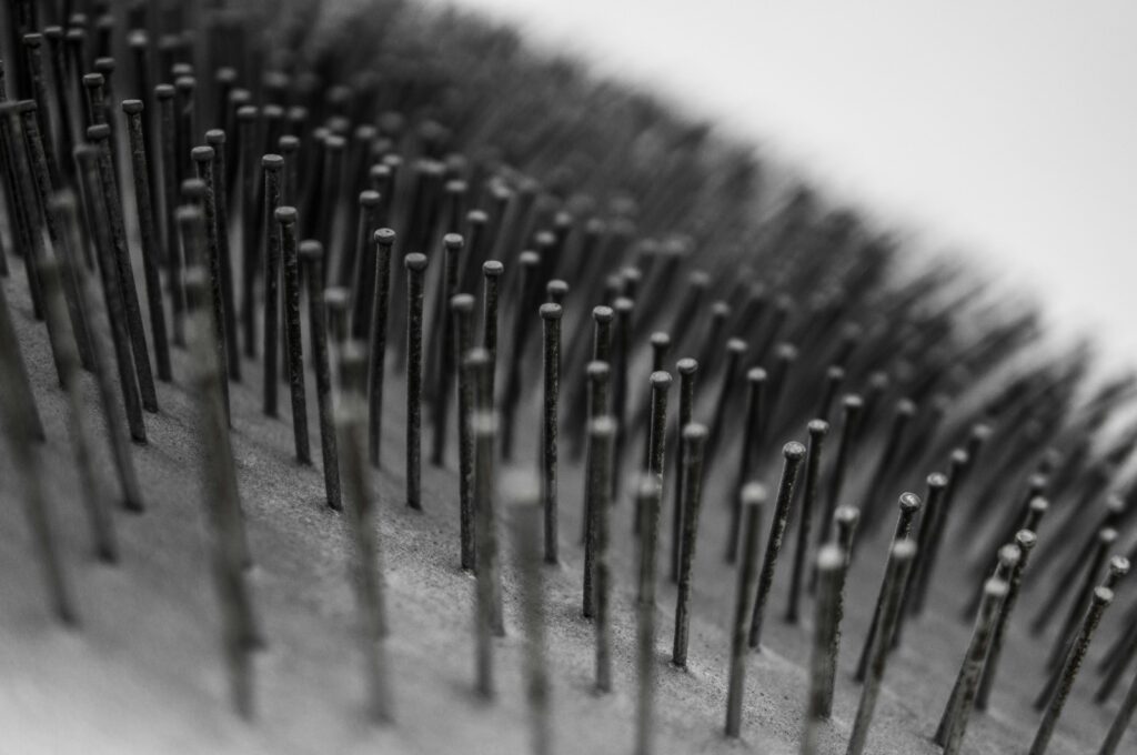 Bristle Brush for Dog