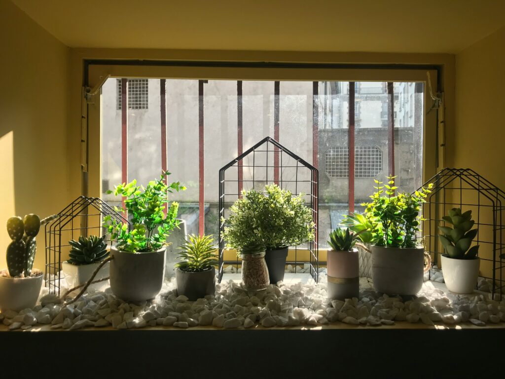 Indoor Gardening Setup