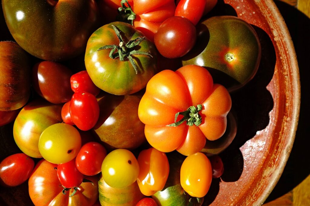 Tomatoes varieties