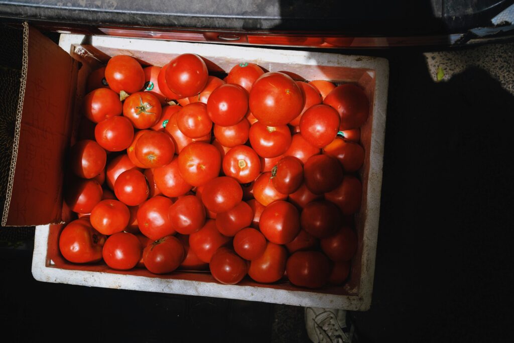 Storing Tomatoes