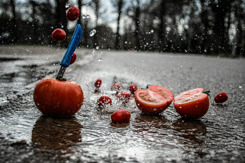 Tomatoes in rain